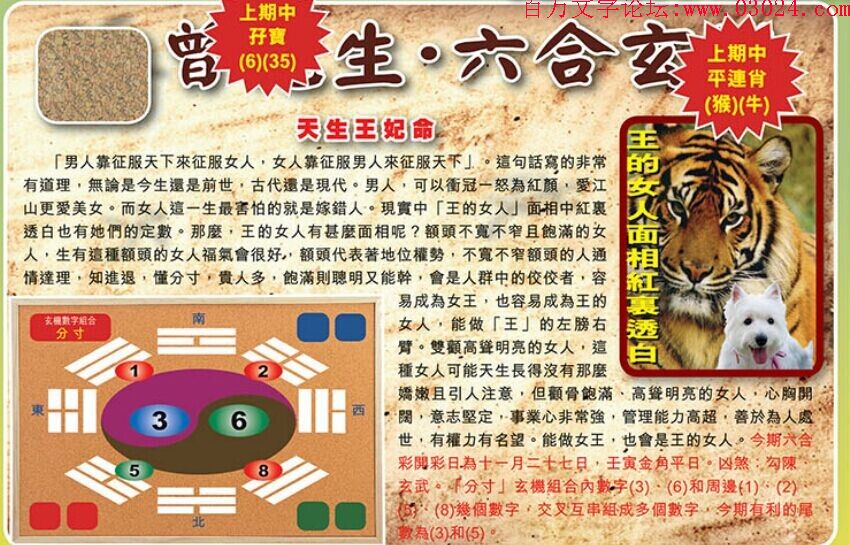 137期：彩民推荐六合皇信箱+貼信(紅字：膽大包天)