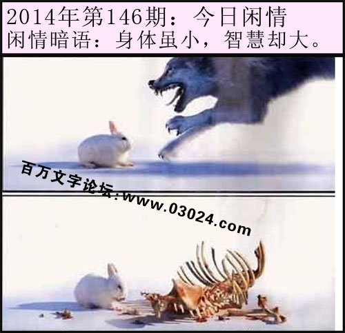 146期今日闲情：身体虽小，智慧却的。
