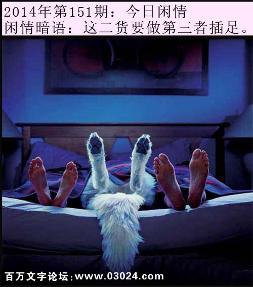 151期今日闲情：这二货要做第三者插足。