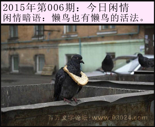 006期今日闲情：懒鸟有懒鸟的活法。