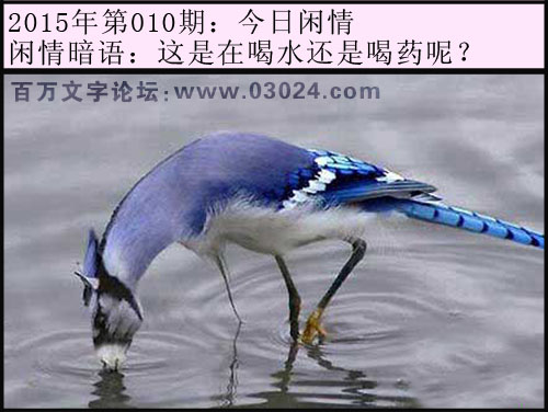 010期今日闲情：这是在喝水还是喝药呢？