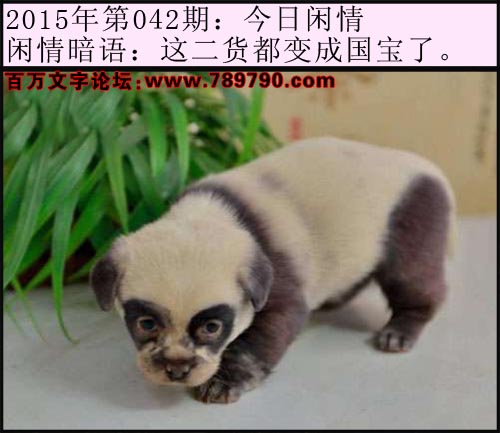 042期今日闲情：这二货都变成国宝了。
